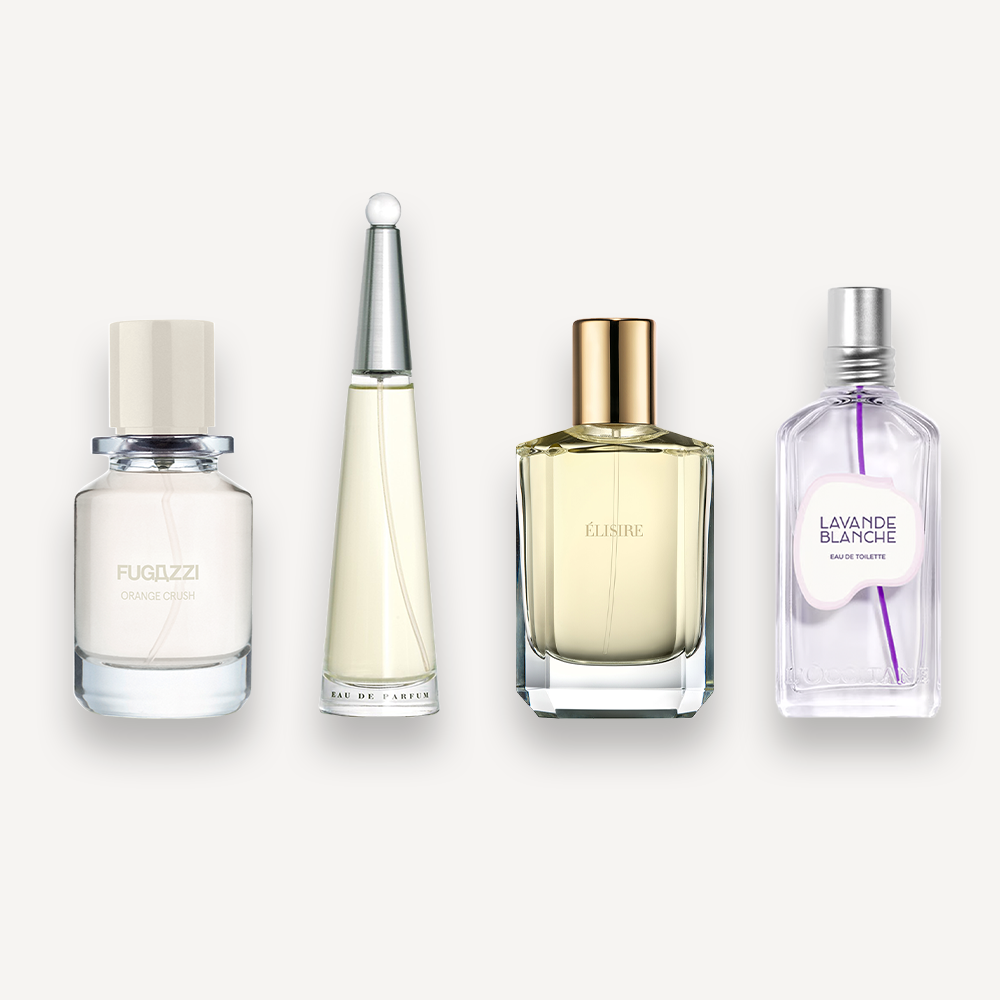 Fresh Exploration Set