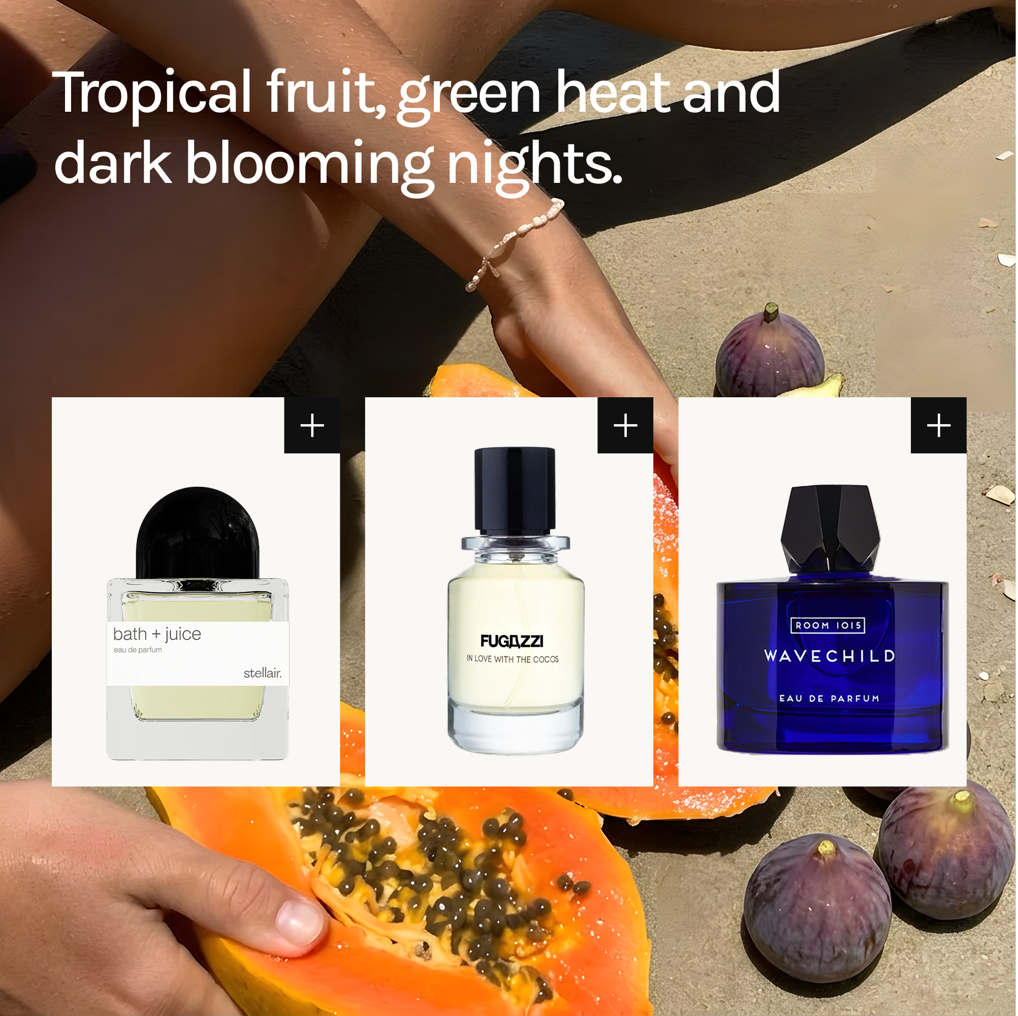 Tropic heat