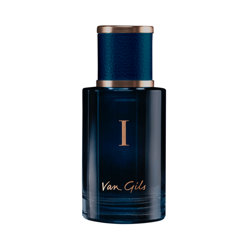 I Dare - Van Gils
